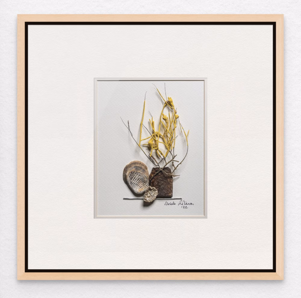 A Framed Art Print Island Coral Collection displaying a contemporary coastal assemblage with Charleston Corals, found objects and abstract painting by Isabelle Robinson.