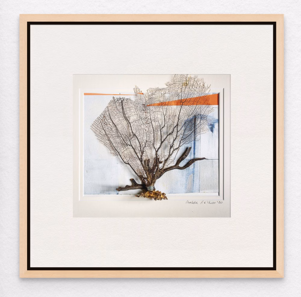 Framed Art Print Island Coral Collection displaying a contemporary coastal assemblage with Charleston Corals and abstract painting by Isabelle Robinson.
