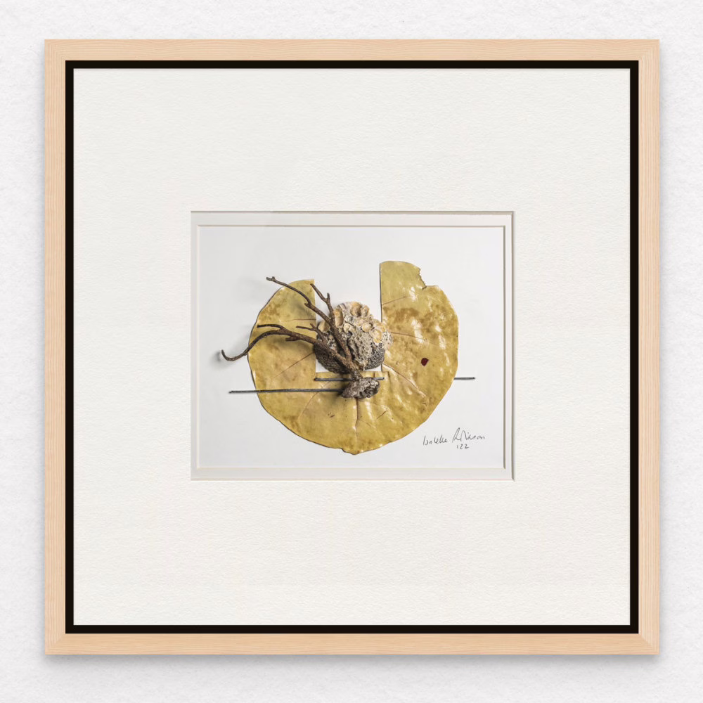 Art print of coastal assemblage with sea plant leaf, brown coral, and seashell assemblage, Isabelle Robinson memories recollected in natural woodgrain frame.