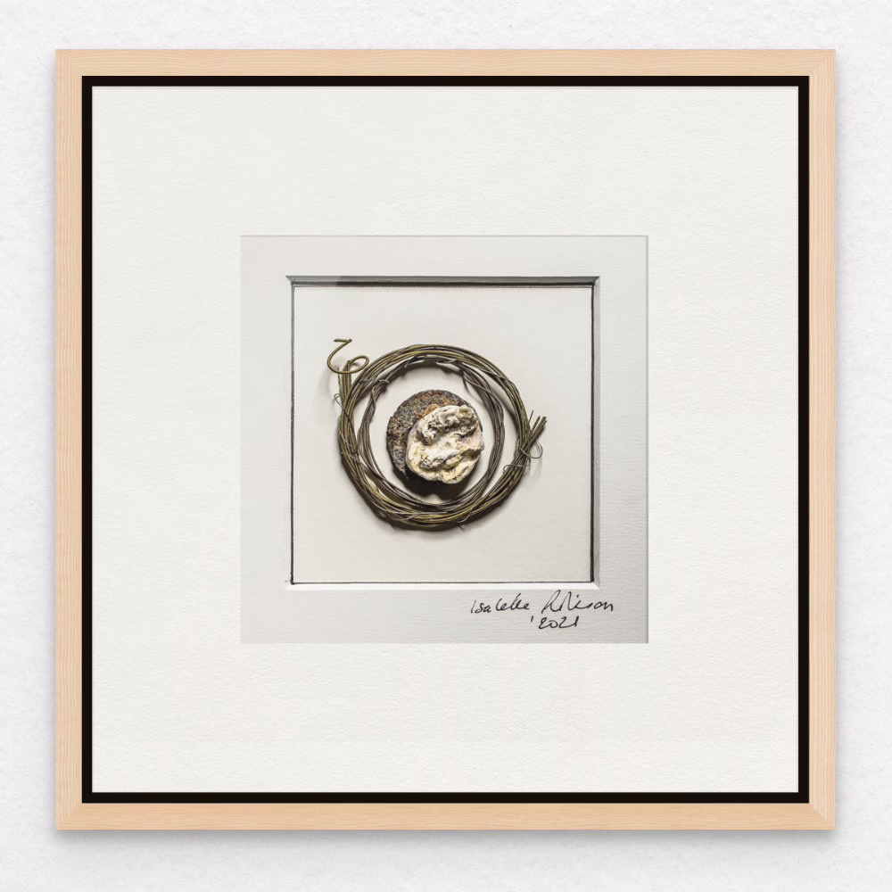 Framed art print photo assemblage of wire circle rusted and shell beach fragment, Isabelle Robinson memories recollected in natural wood.
