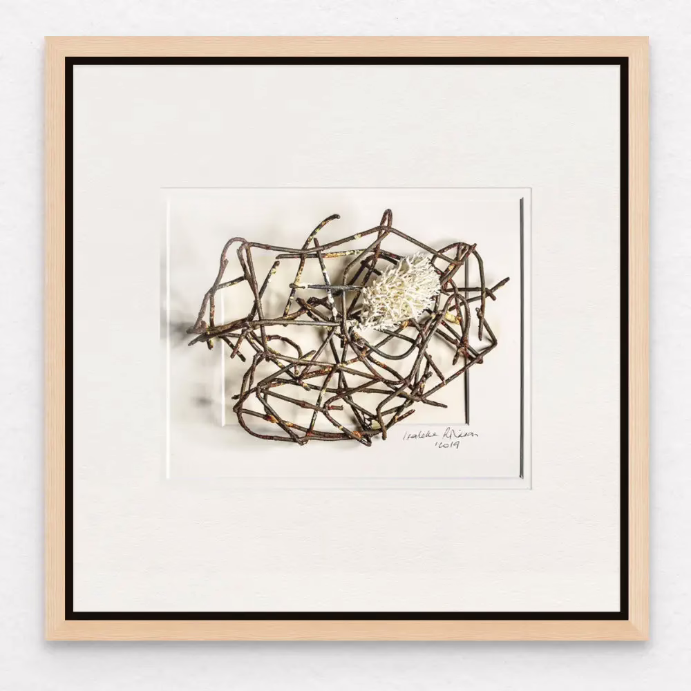 Framed art print of rusted metal and sea coral creating a graphic modern photographic image with virtual mat, Isabelle Robinson memories recollected.