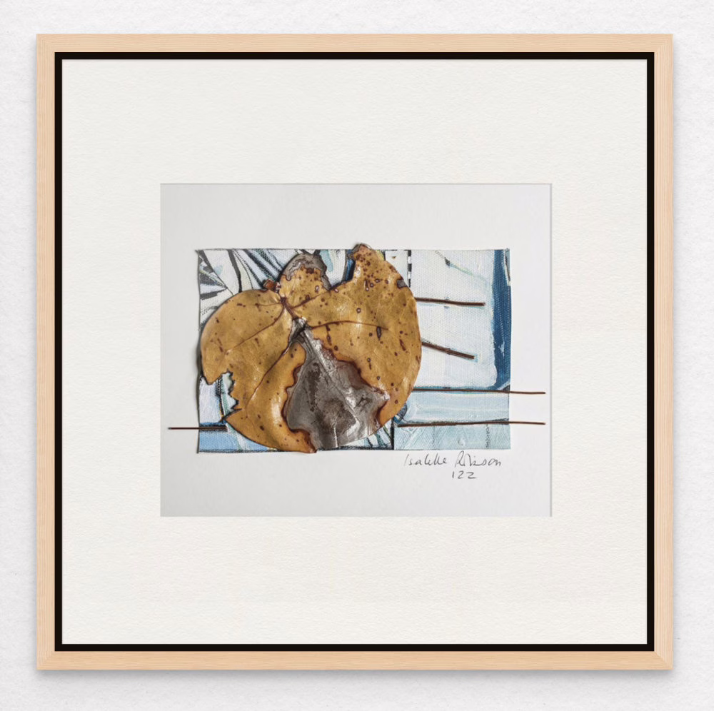 A Framed Art Print Island Coral Collection displaying a contemporary coastal assemblage with Charleston Corals, found objects and abstract painting by Isabelle Robinson.