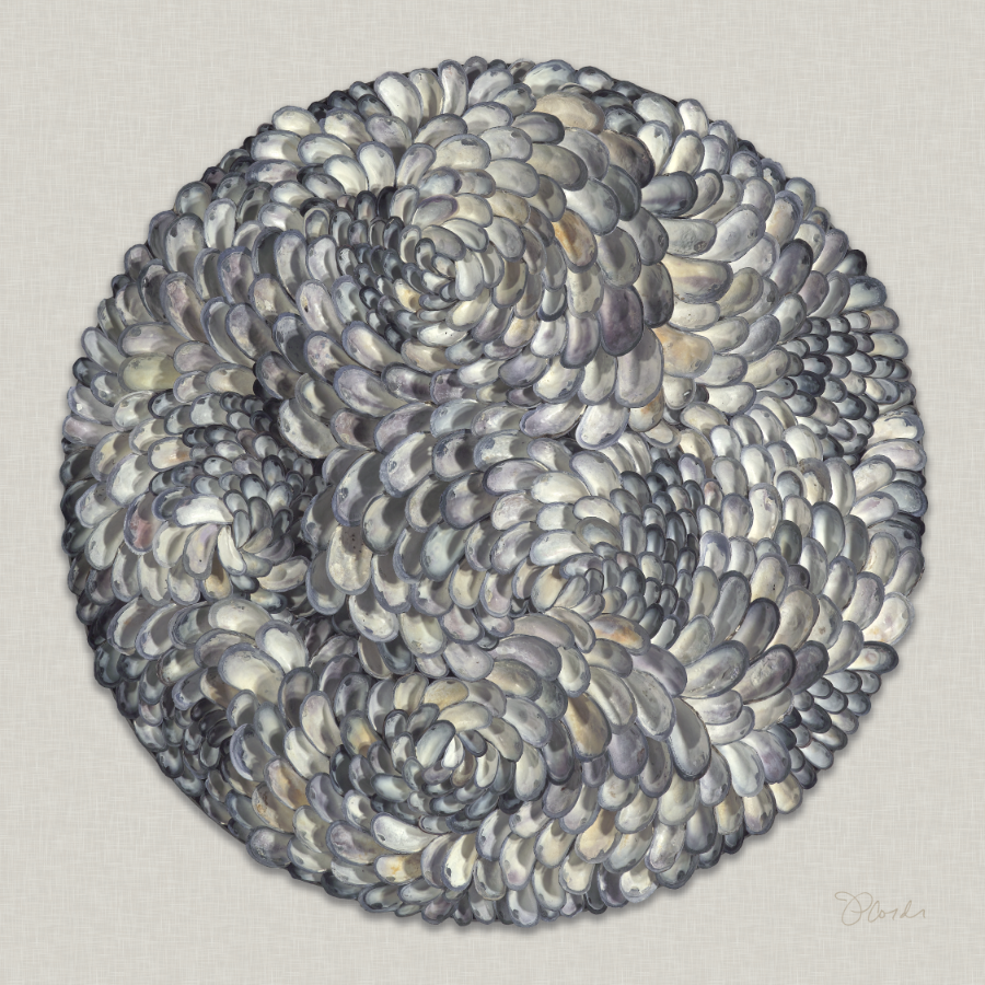 Dewdrop, Jennifer Price Corder, Fine Art Print on Canvas