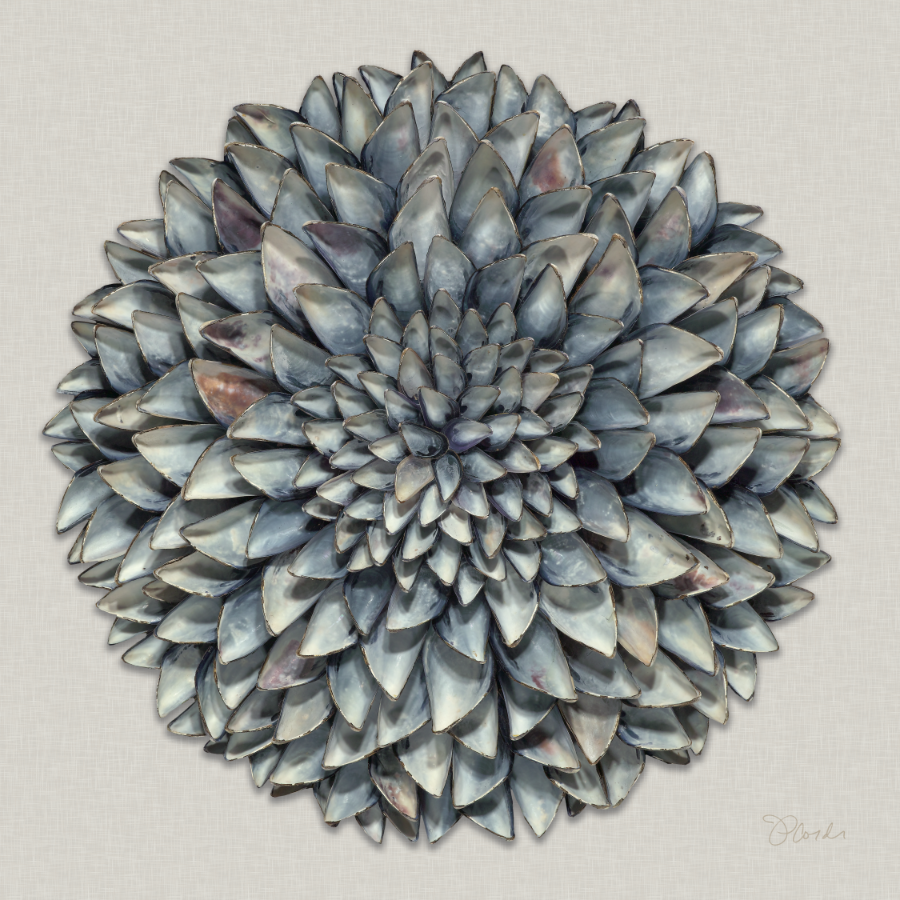 Summer Dahlia, Jennifer Price Corder, Fine Art Print on Canvas
